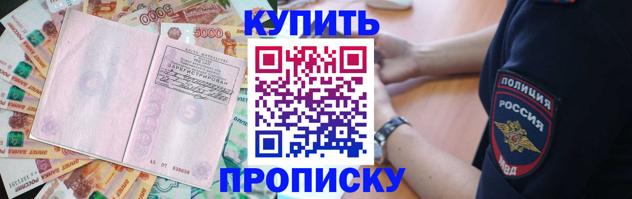 временная регистрация поиск в Полярном